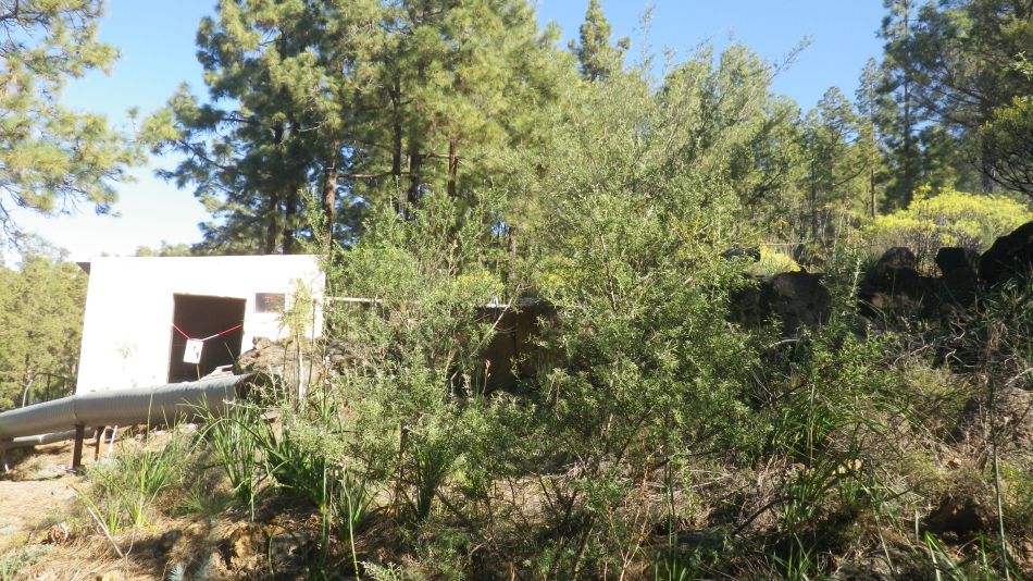 2020-02-03 09 Walk 22 La Ermita Galeria Chio Guia.jpg