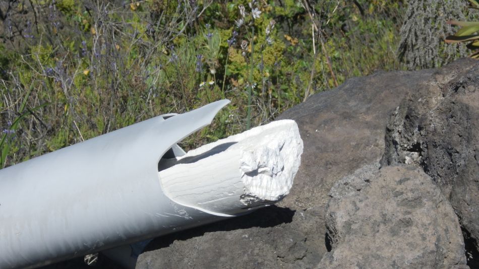 2020-02-03 12 Walk 22 La Ermita Galeria Chio Guia.jpg