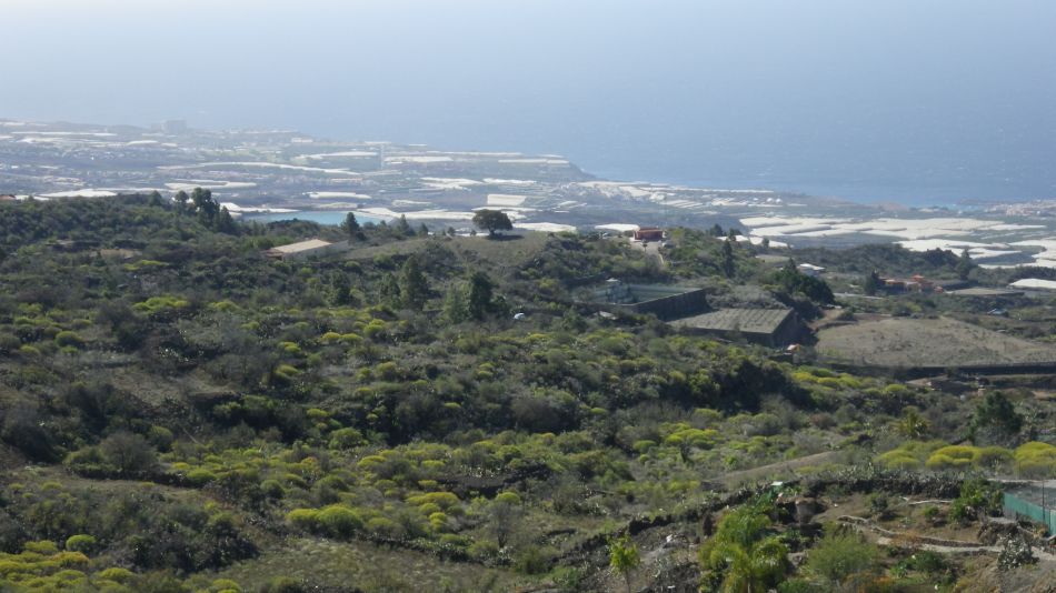 2020-02-03 13 Walk 22 La Ermita Galeria Chio Guia.jpg