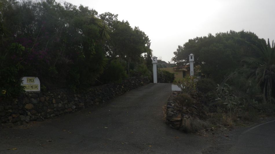 2020-02-04 04 Walk 23 Guia de Isora via Chio to Alcala.jpg