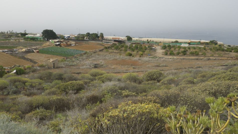 2020-02-04 08 Walk 23 Guia de Isora via Chio to Alcala.jpg