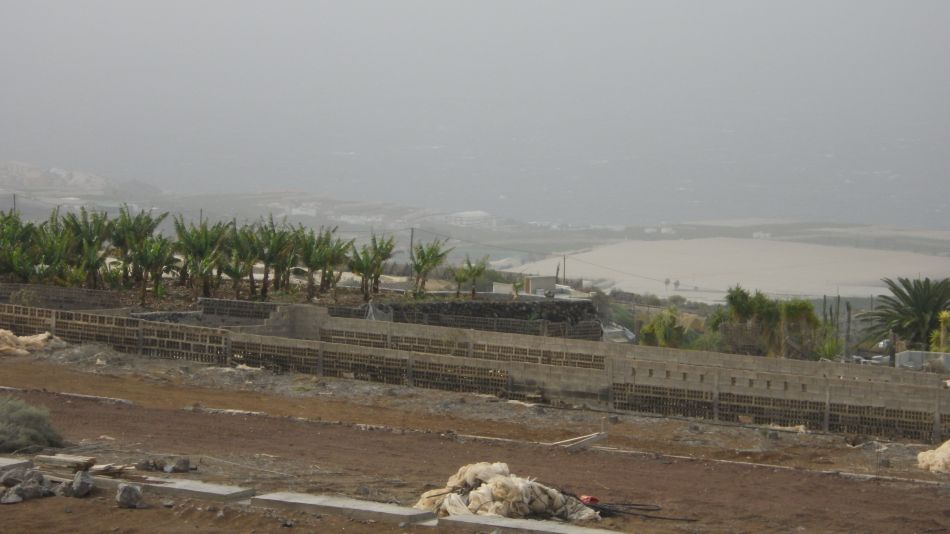 2020-02-04 09 Walk 23 Guia de Isora via Chio to Alcala.jpg