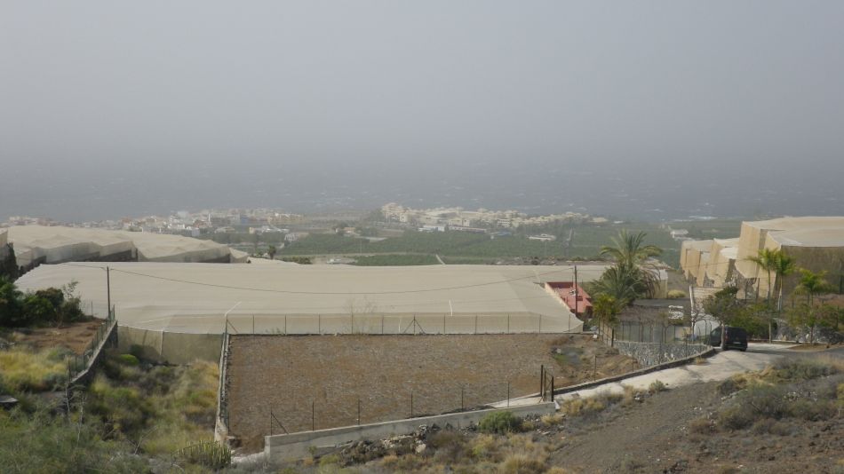 2020-02-04 11 Walk 23 Guia de Isora via Chio to Alcala.jpg