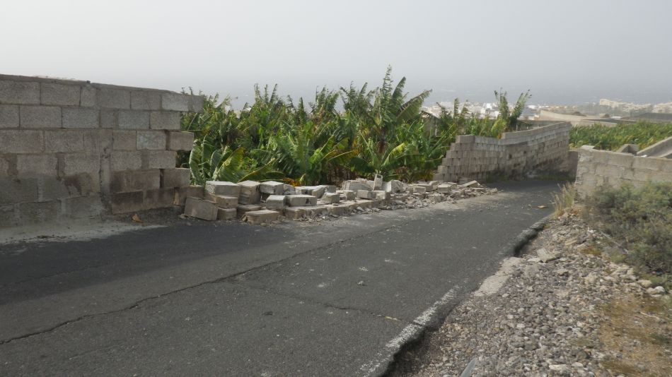 2020-02-04 12 Walk 23 Guia de Isora via Chio to Alcala.jpg