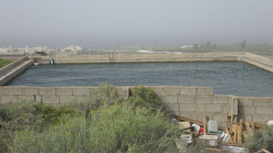 2020-02-04 13 Walk 23 Guia de Isora via Chio to Alcala.jpg