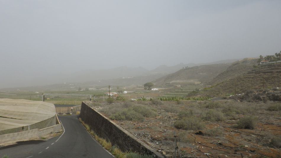 2020-02-04 14 Walk 23 Guia de Isora via Chio to Alcala.jpg