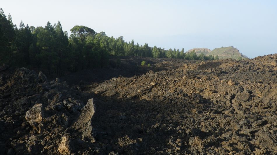 2020-05-01 05 Walk 20 Ermita Galeria Guia de Isora.jpg