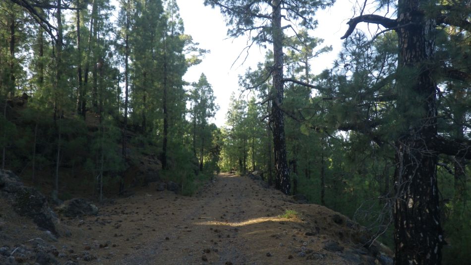 2020-05-01 06 Walk 20 Ermita Galeria Guia de Isora.jpg