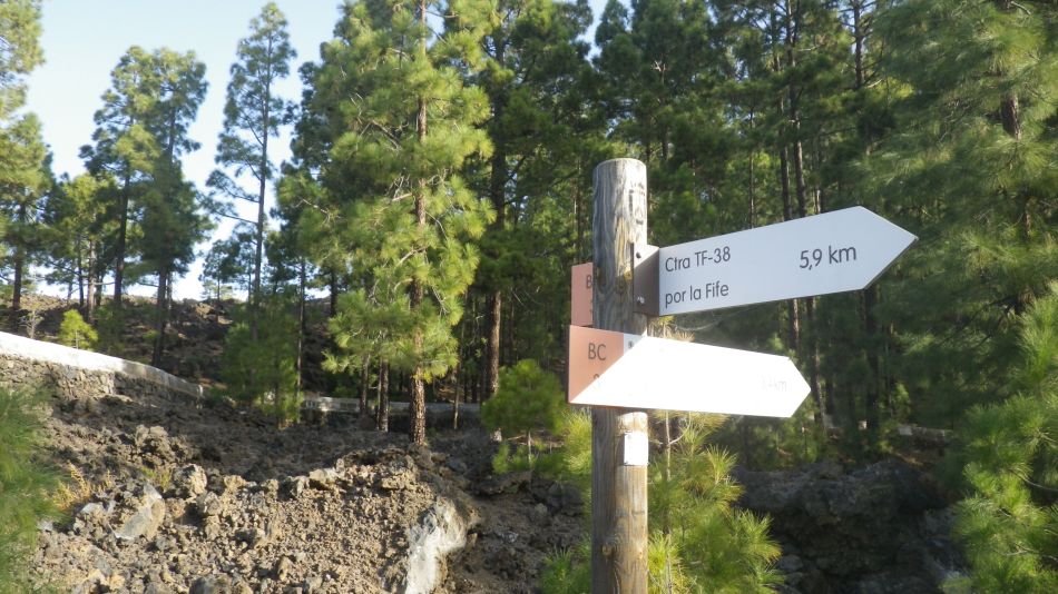 2020-05-01 09 Walk 20 Ermita Galeria Guia de Isora.jpg