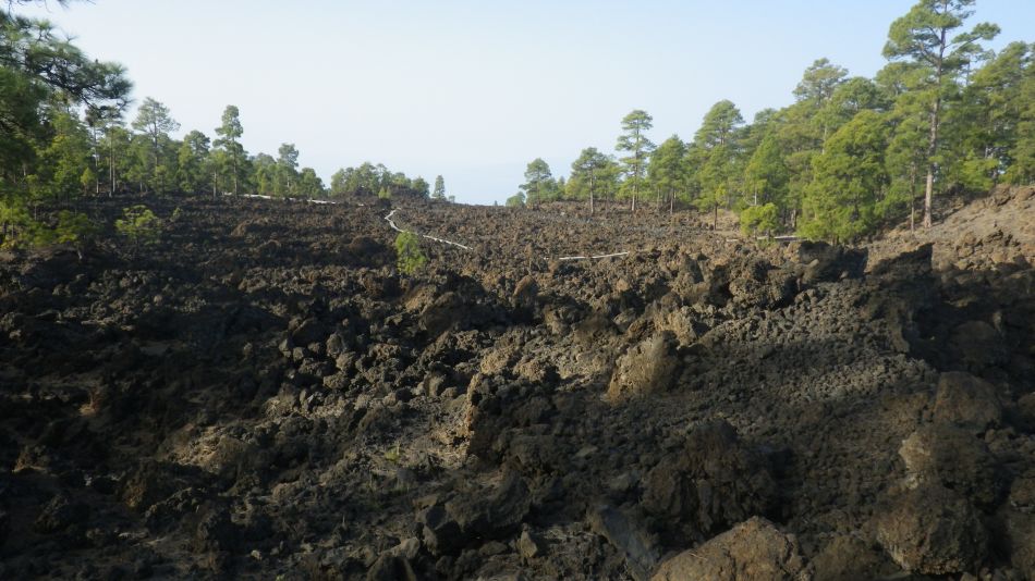 2020-05-01 11 Walk 20 Ermita Galeria Guia de Isora.jpg