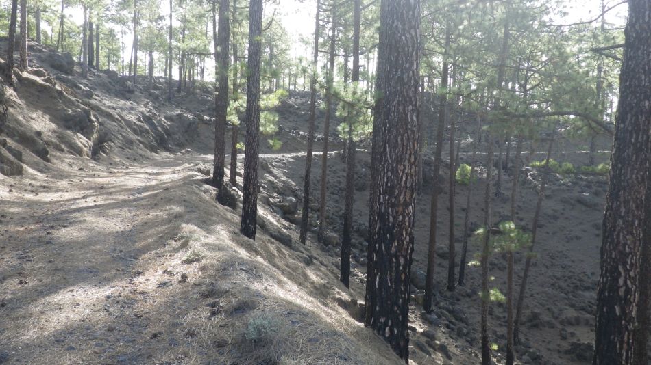 2020-05-01 12 Walk 20 Ermita Galeria Guia de Isora.jpg