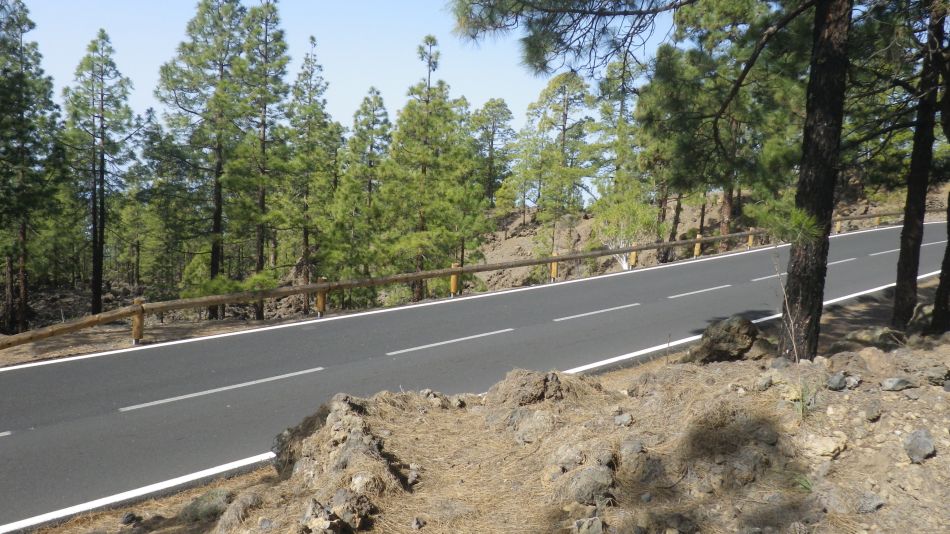 2020-05-01 17 Walk 20 Ermita Galeria Guia de Isora.jpg