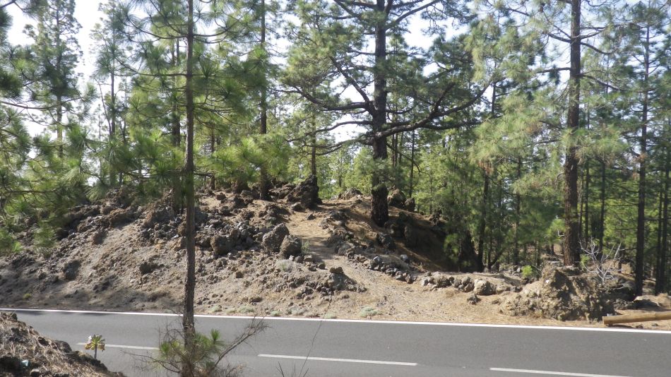 2020-05-01 18 Walk 20 Ermita Galeria Guia de Isora.jpg