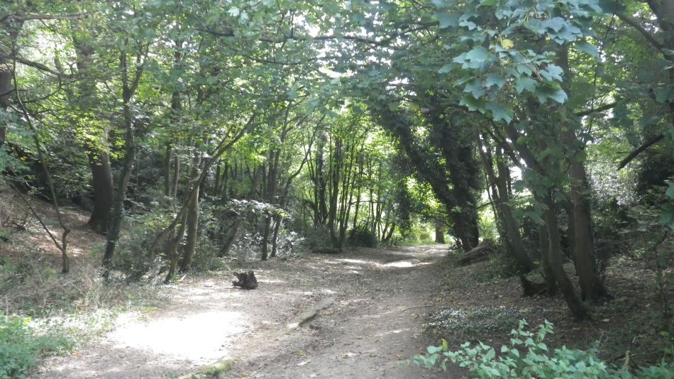 2017-09-21 06 B St Eds at Norwich.jpg