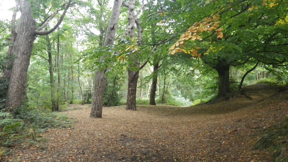 2017-09-21 15 B St Eds at Norwich.jpg