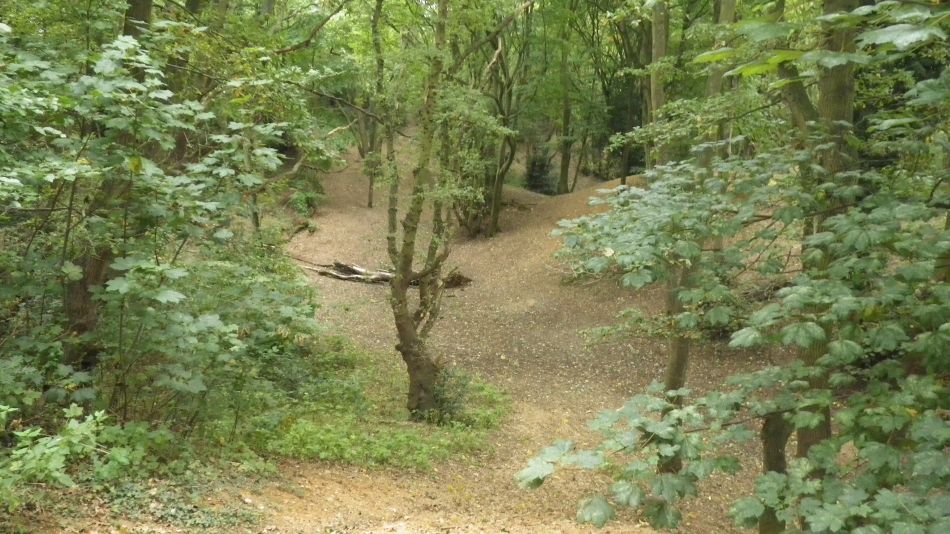 2017-09-21 17 B St Eds at Norwich.jpg