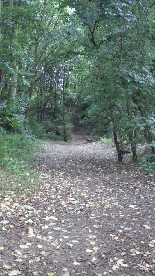 2017-09-21 18 B St Eds at Norwich.jpg