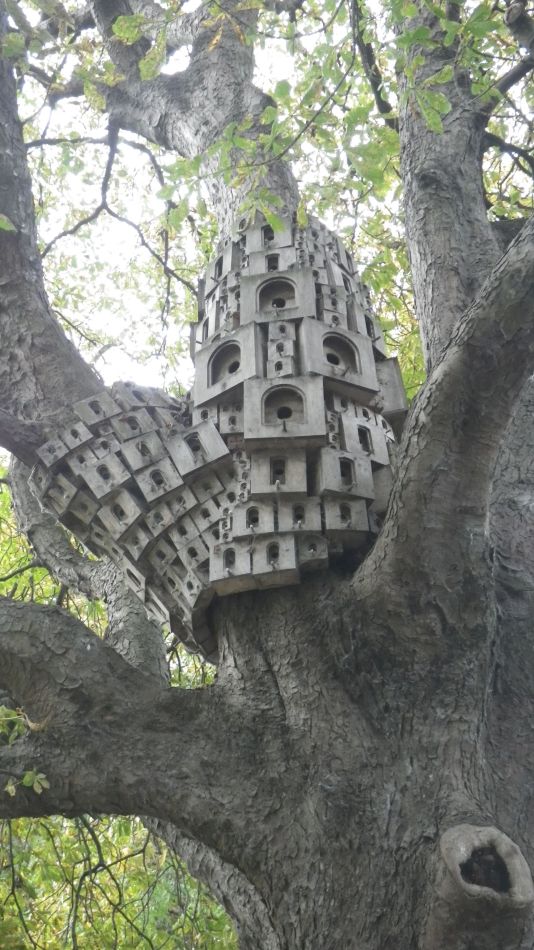 2017-09-21 30 B St Eds at Norwich.jpg