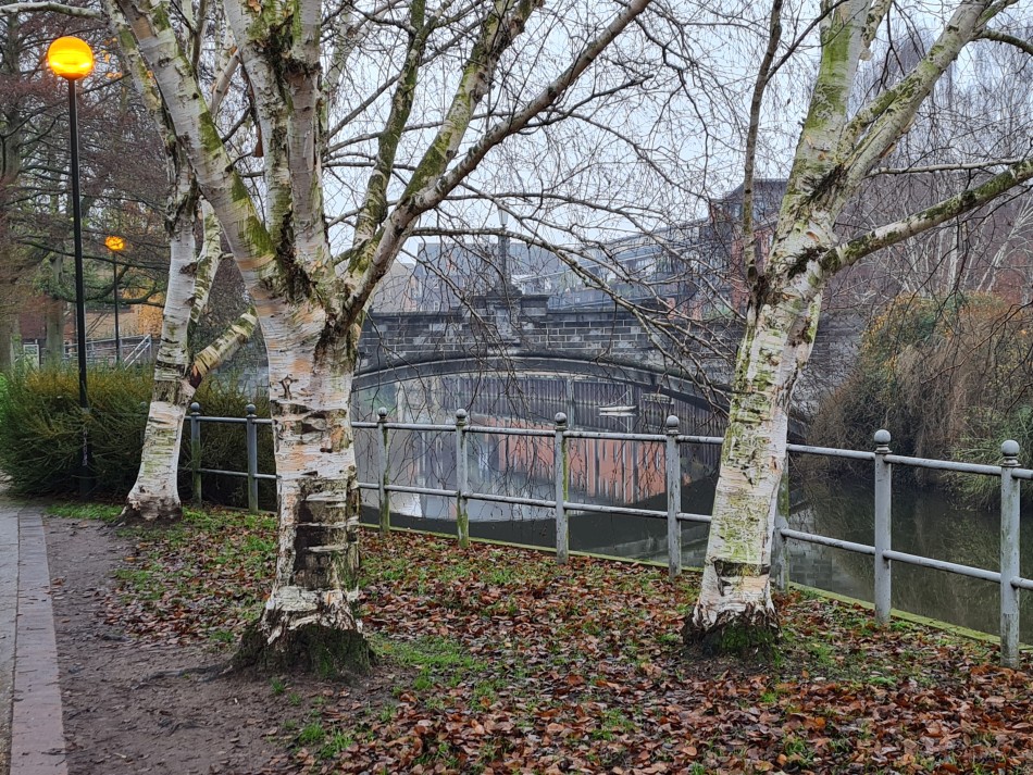 2021-12-14 38 Norwich Cathedral.jpg