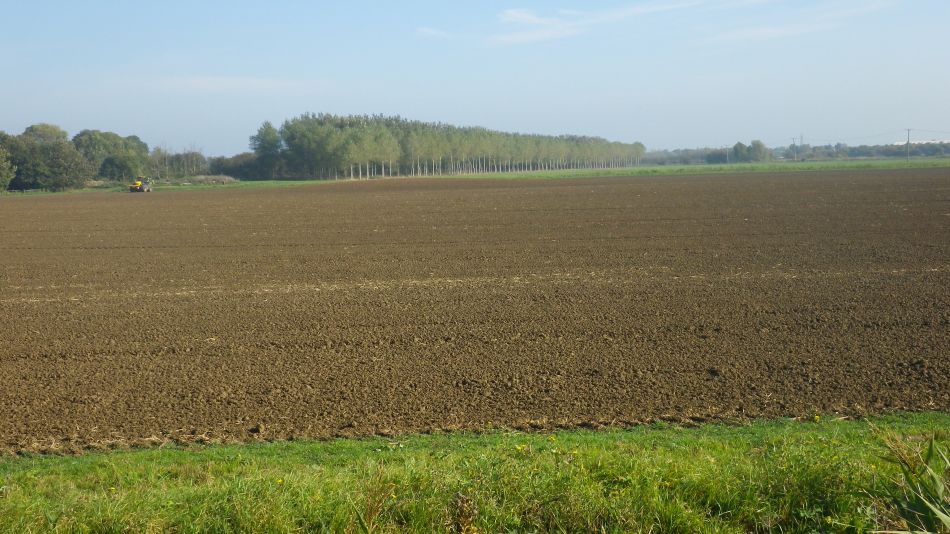 2018-10-16 06 Bure Park 5.6.jpg