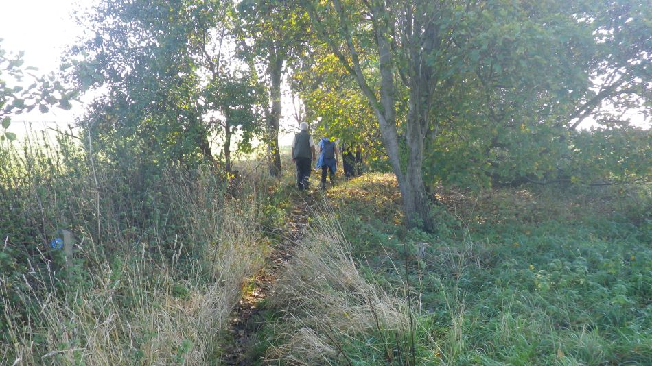 2018-10-16 07 Bure Park 5.6.jpg