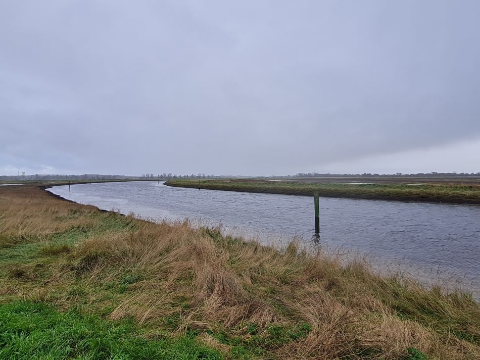 2023-11-21 06 Bure Park.jpg