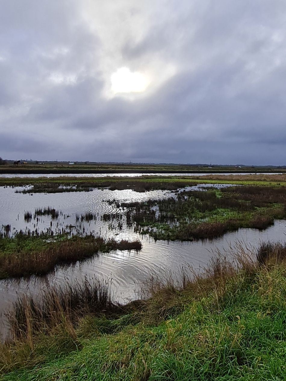 2023-11-21 11 Bure Park.jpg