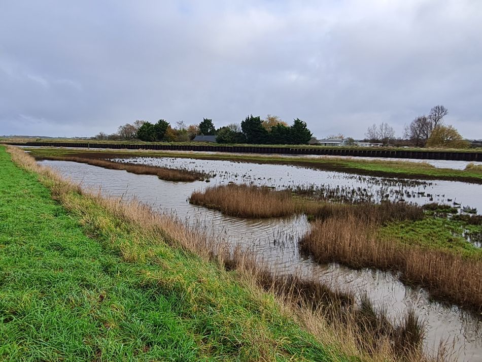 2023-11-21 12 Bure Park.jpg