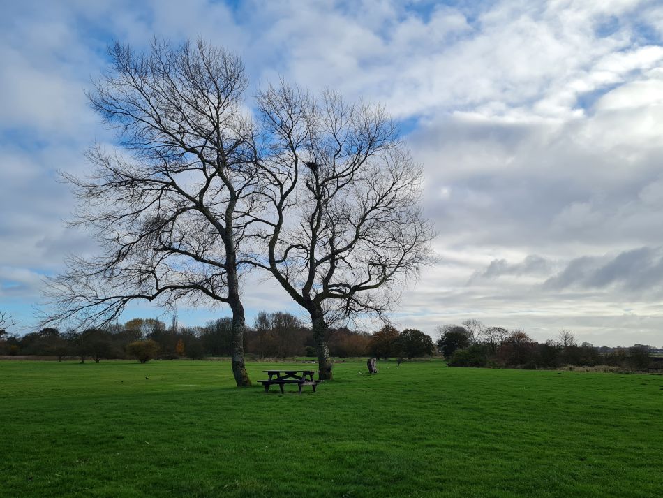 2023-11-21 23 Bure Park.jpg