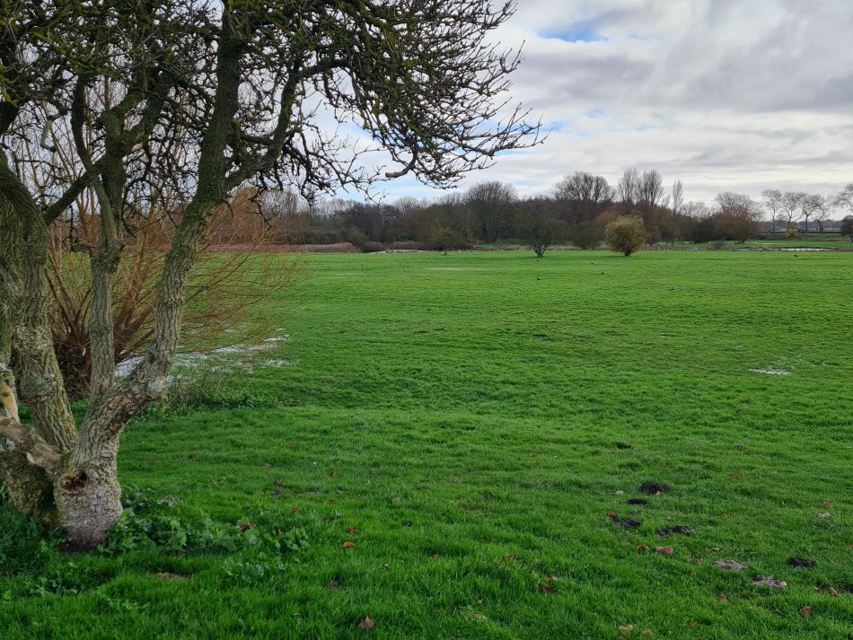 2023-11-21 29 Bure Park.jpg