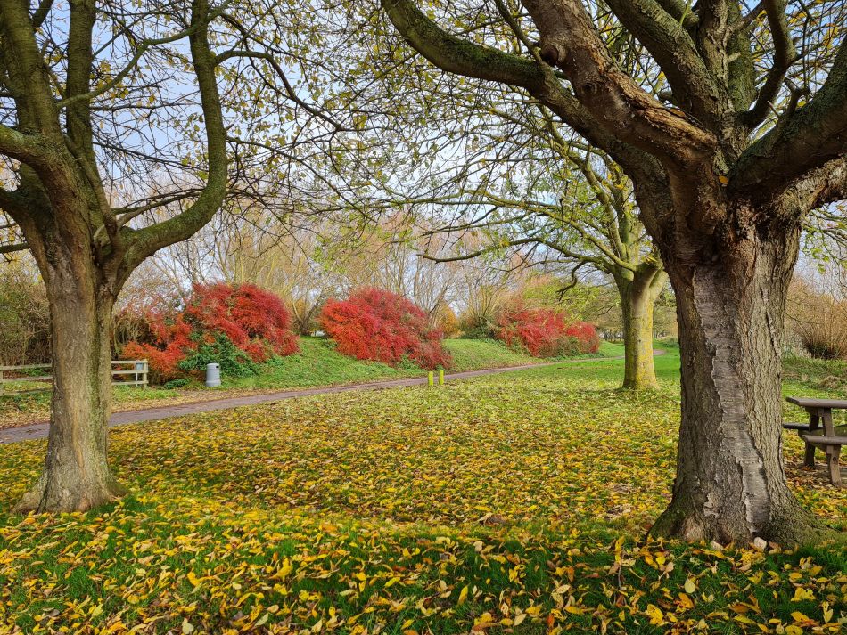 2023-11-21 32 Bure Park.jpg