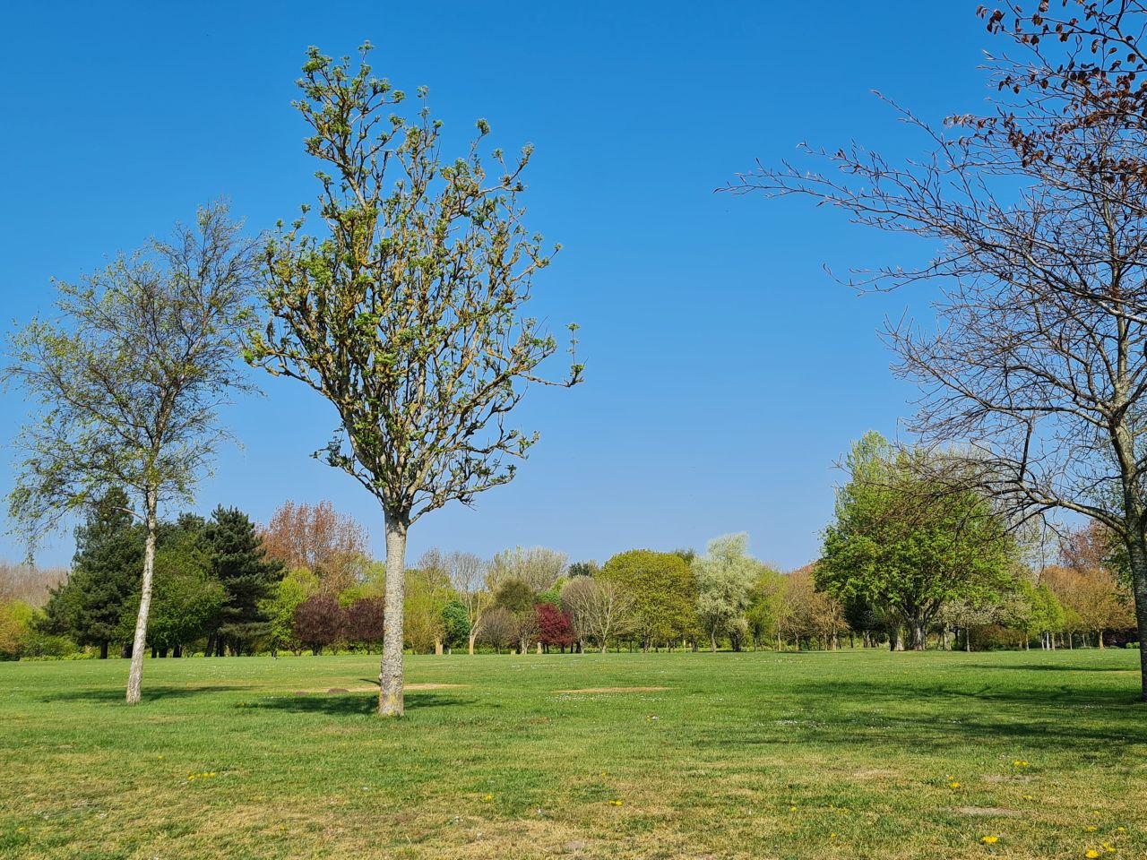 2025-04-27 01 Bure Pary and Mautby.jpg