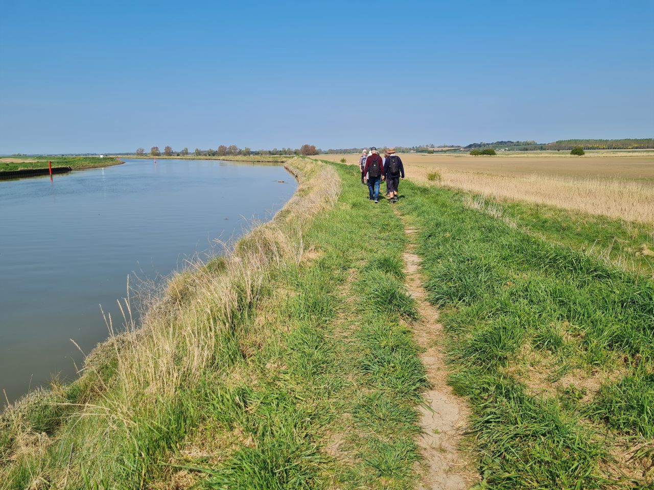 2025-04-27 02 Bure Pary and Mautby.jpg