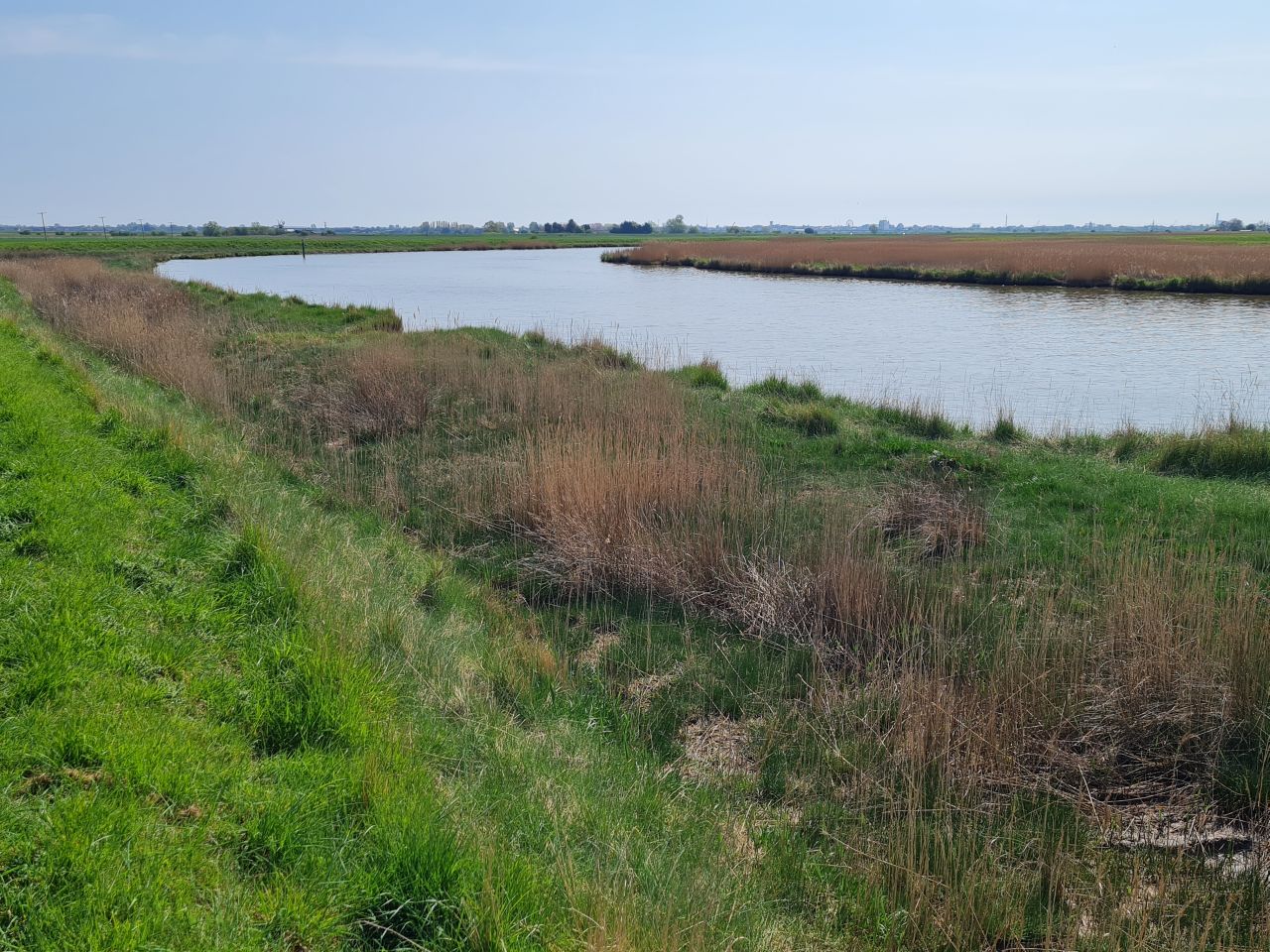 2025-04-27 06 Bure Pary and Mautby.jpg