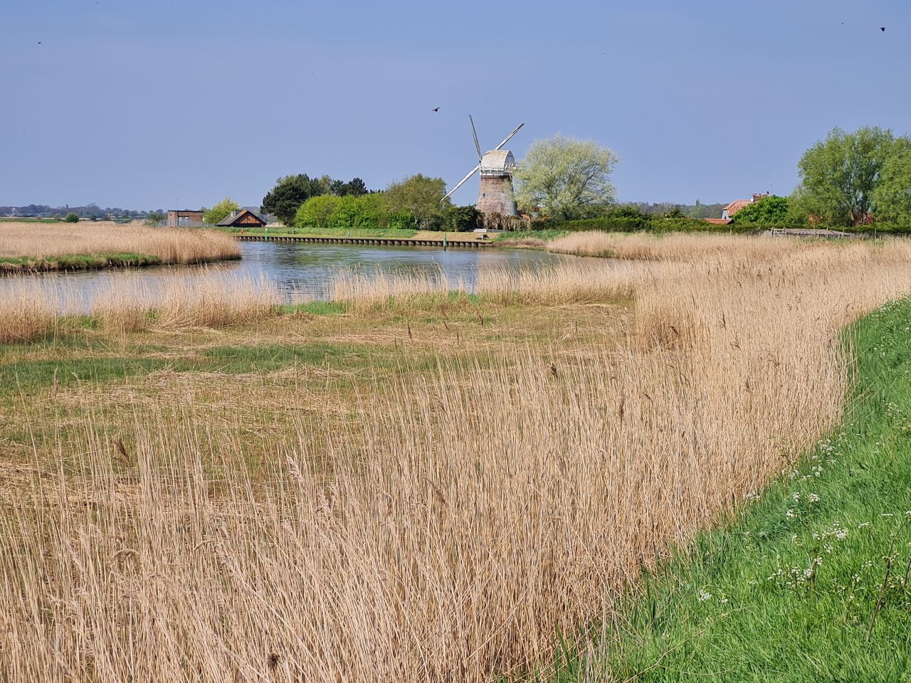 2025-04-27 07 Bure Pary and Mautby.jpg