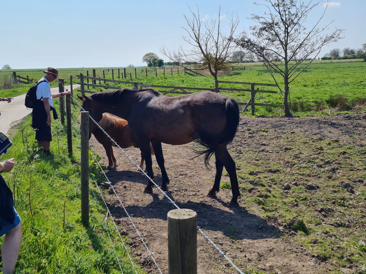 2025-04-27 09 Bure Pary and Mautby.jpg