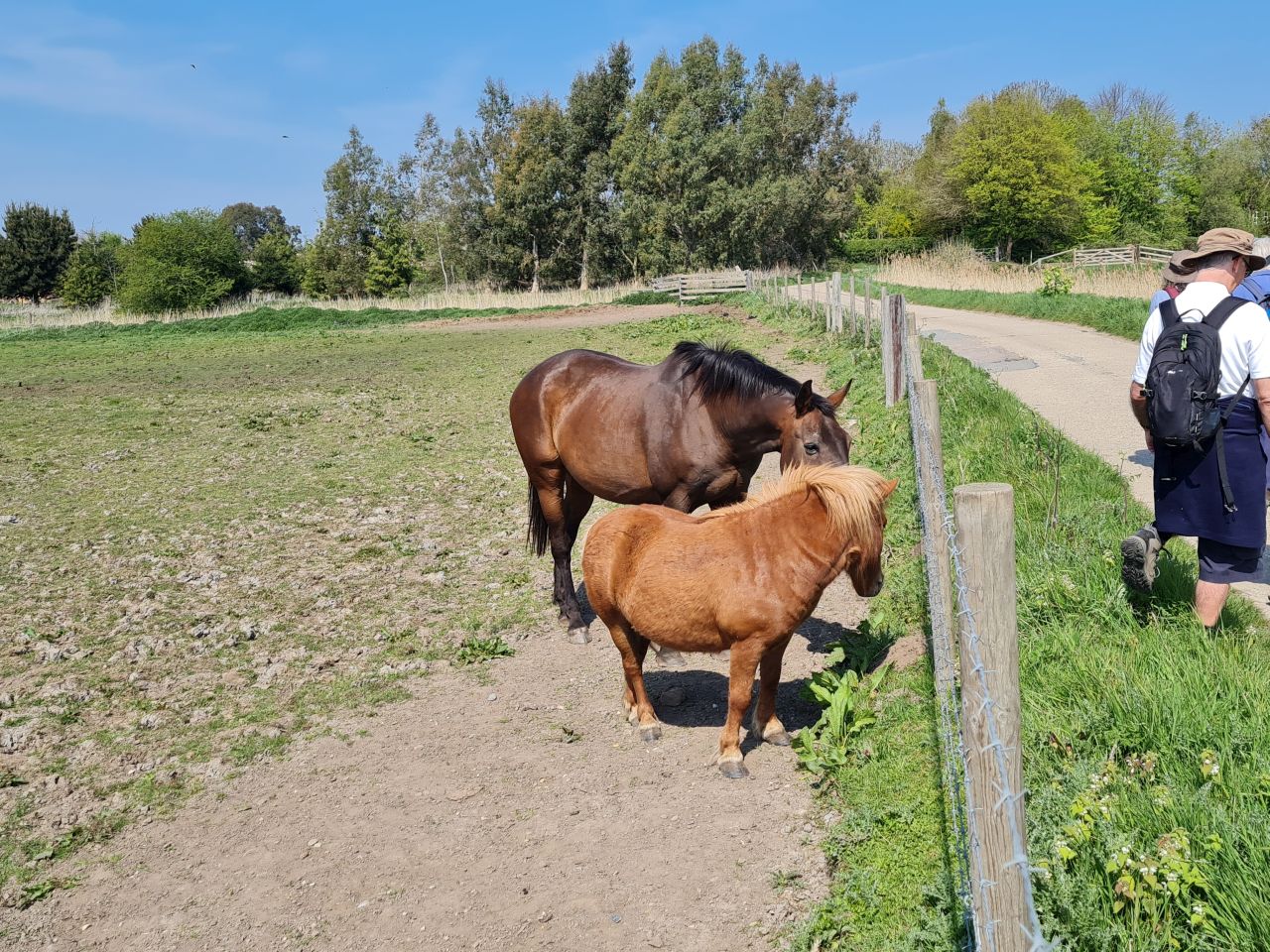 2025-04-27 10 Bure Pary and Mautby.jpg