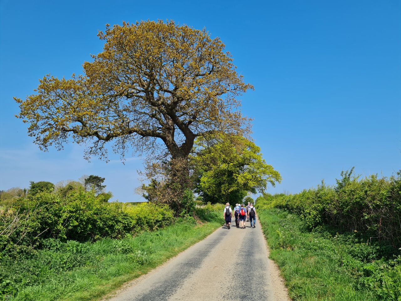 2025-04-27 12 Bure Pary and Mautby.jpg