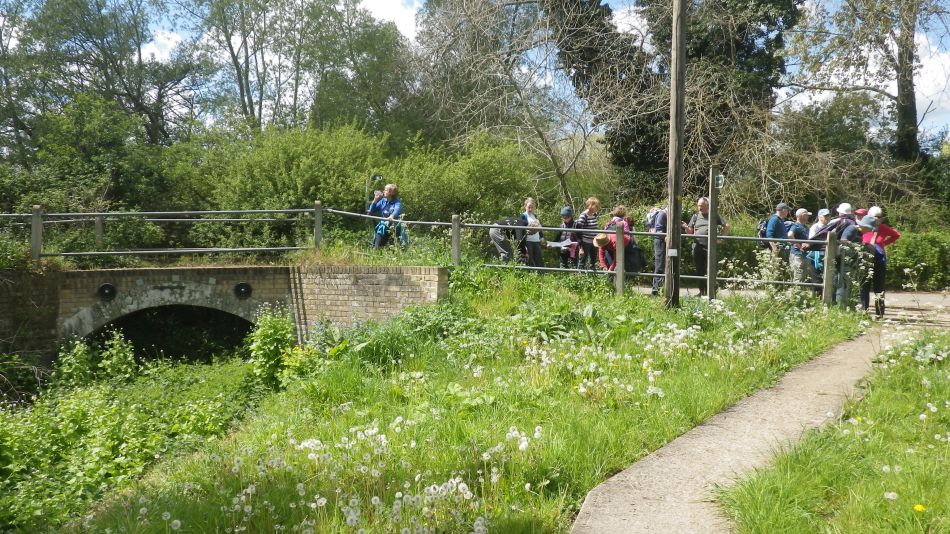 2019-05-12 03 Wenhaston and Halesworth.jpg