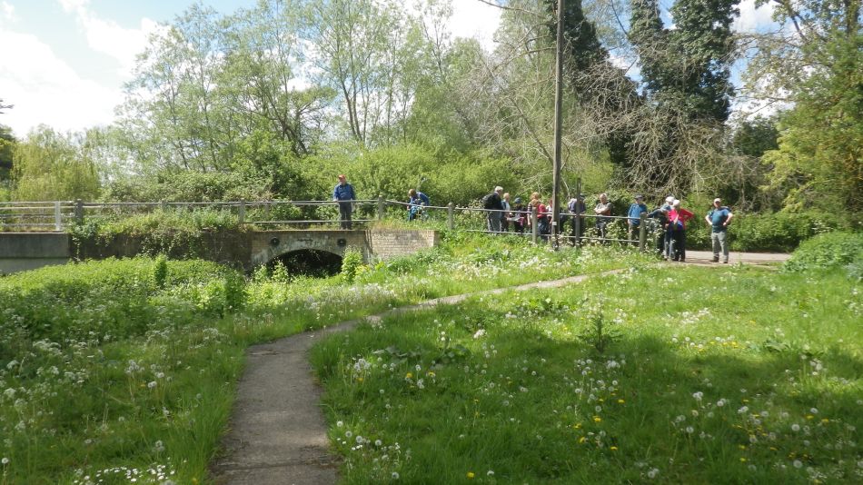 2019-05-12 04 Wenhaston and Halesworth.jpg