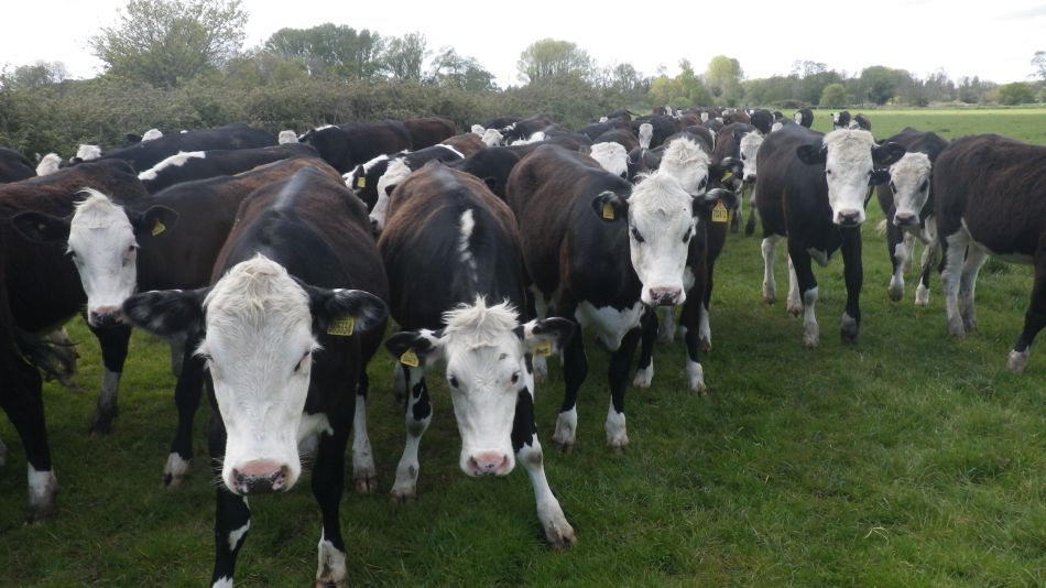 2019-05-12 05 Un Mooved.jpg