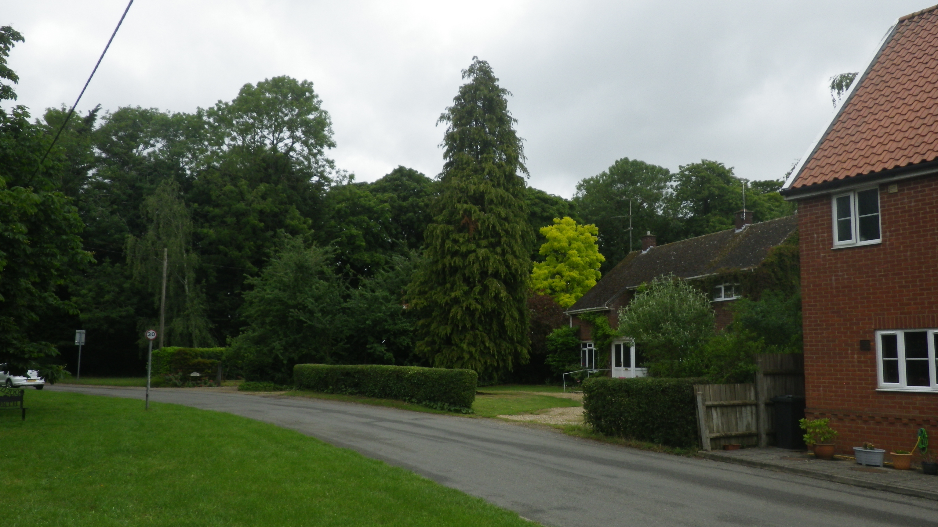 2020-06-18 03 Worlingworth.jpg