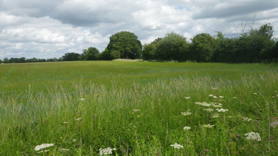 2020-06-20 06 Worlingworth and Fingal Street.jpg