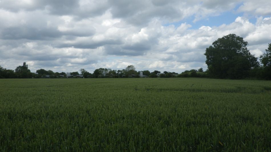 2020-06-20 09 Worlingworth and Fingal Street.jpg