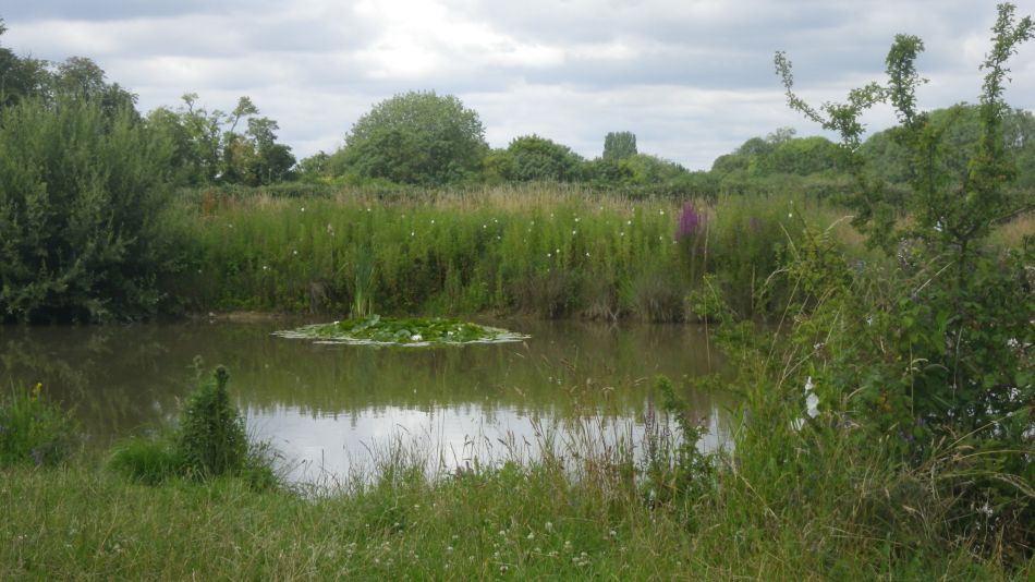 2020-07-15 12 Worlingworth Athelington.jpg