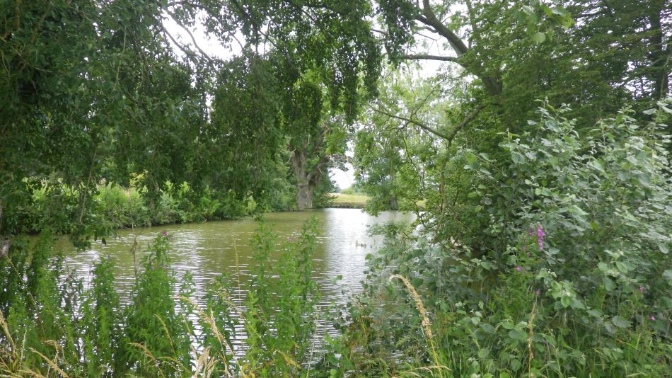 2020-07-15 14 Worlingworth Athelington.jpg