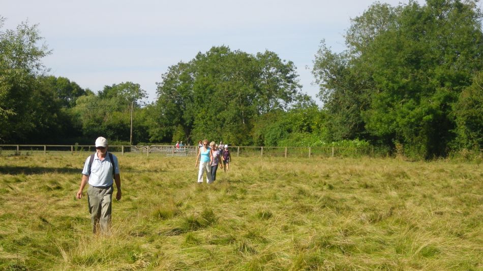 2016-08-31 03 Alburgh Denton and Darrow Wood.jpg