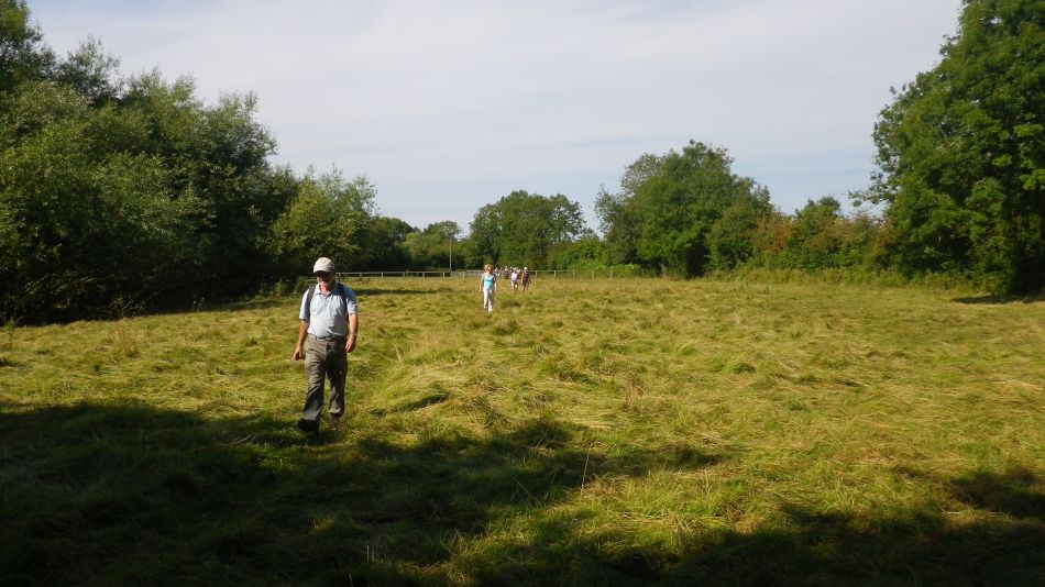 2016-08-31 04 Alburgh Denton and Darrow Wood.jpg