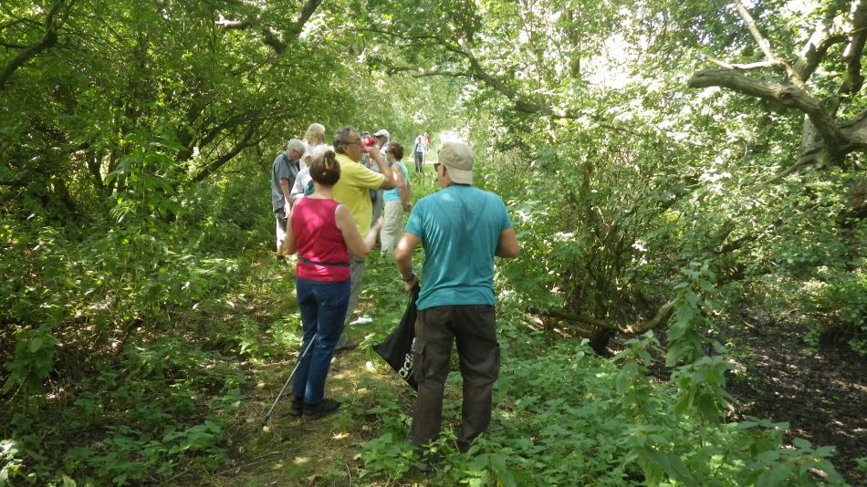 2016-08-31 06 Alburgh Denton and Darrow Wood.jpg