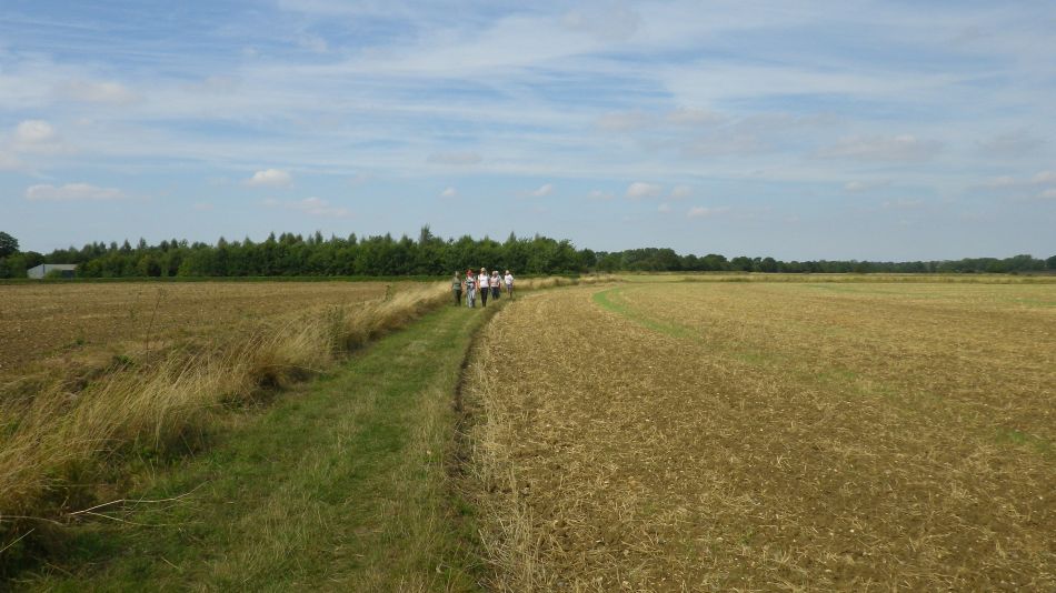 2016-08-31 08 Alburgh Denton and Darrow Wood.jpg